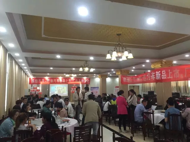 公海彩船6600电动汽车2017全国厂家直销大型团购会山东成武站圆满落幕！