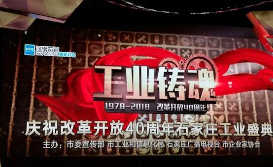 重磅|公海彩船6600旗下河北新宇宙荣获石家庄市“工业铸魂”大型评选活动金雁奖